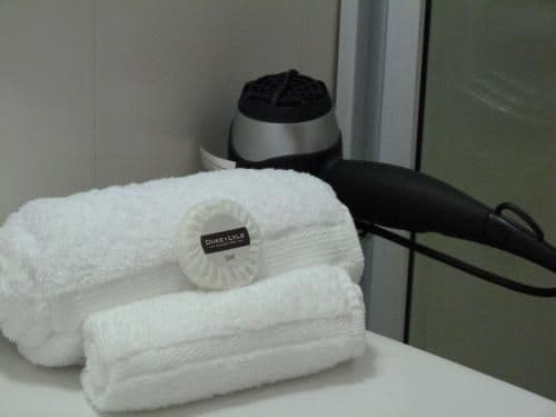 Standard Twin Room (2 adults)