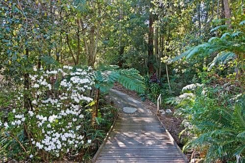 Rainforest One-Bedroom Cottage with Hot Tub