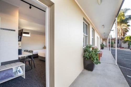Double or Twin Studio with King and Single Bed