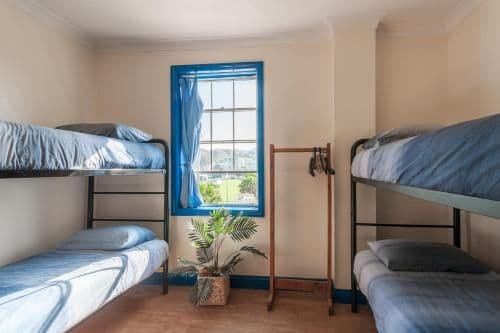 Bed in 4-Bed Mixed Dormitory Room
