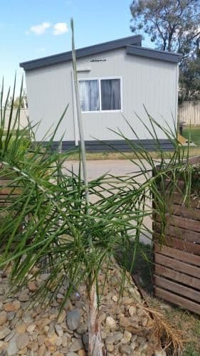 Cabin with Garden View