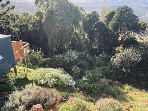 Deluxe Bungalow with Garden View