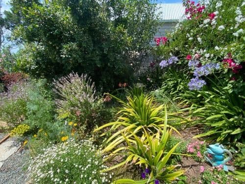 Deluxe Bungalow with Garden View