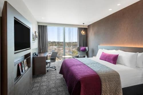 Accessible King Room