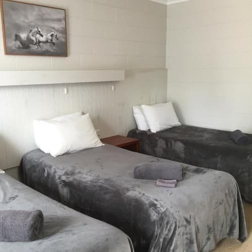 Basic Triple Room