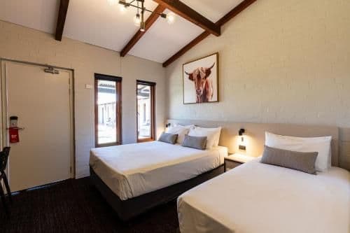 Studio Queen and Single Room