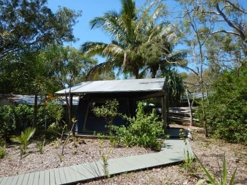 Twin Tent with Shared Bathroom