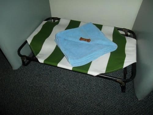 Double Studio - Pet Friendly