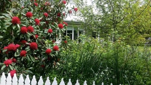 Two-Bedroom Cottage - Peppercorn (Children Welcomed) 