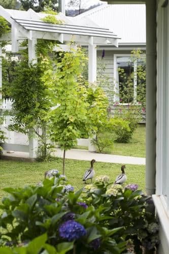 Two-Bedroom Cottage - Sage (Children Welcomed)
