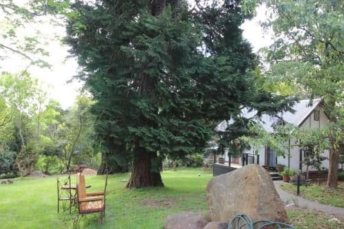 Cottage with Garden View - 1