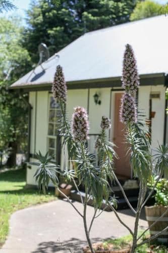 Cottage with Garden View - 2