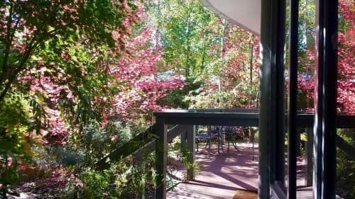 Two-Bedroom Cottage - Kingfisher