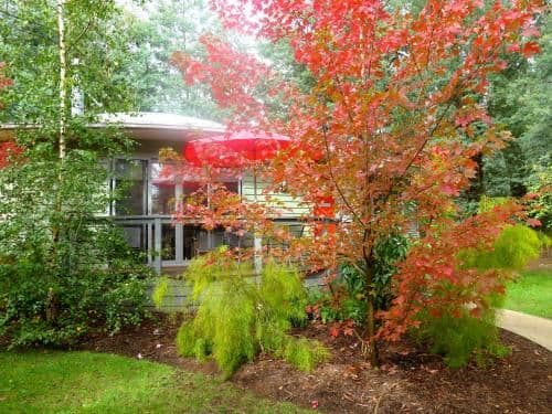 Two-Bedroom Cottage - Kingfisher