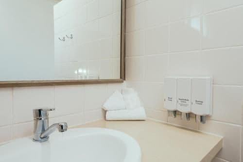 Pet Friendly Executive Queen Room