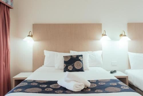 Pet Friendly Executive Queen Room