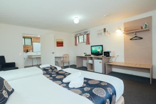 Pet Friendly Executive Queen Room