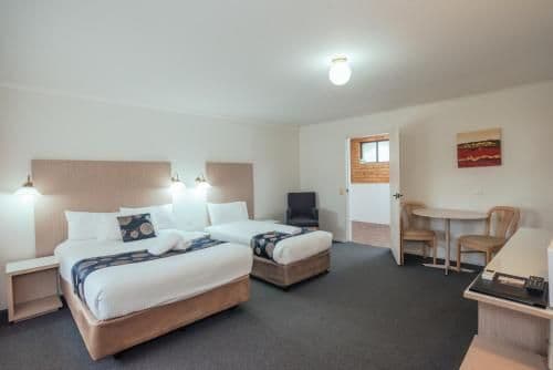 Pet Friendly Executive Queen Room