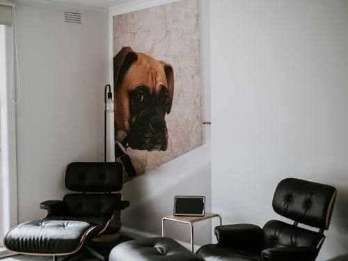 Executive One Bedroom Apartment