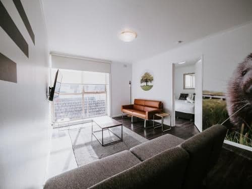Deluxe Two-Bedroom Apartment