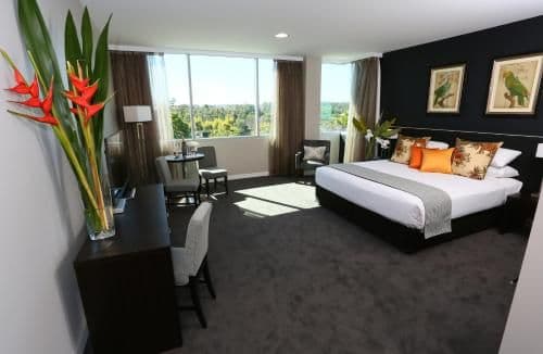 Executive King Room