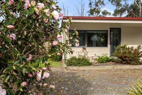 Villa with Garden View