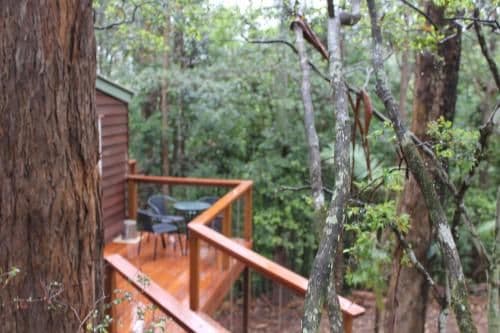 Treehouse