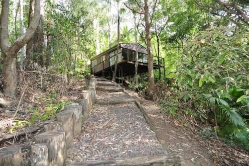 Treehouse