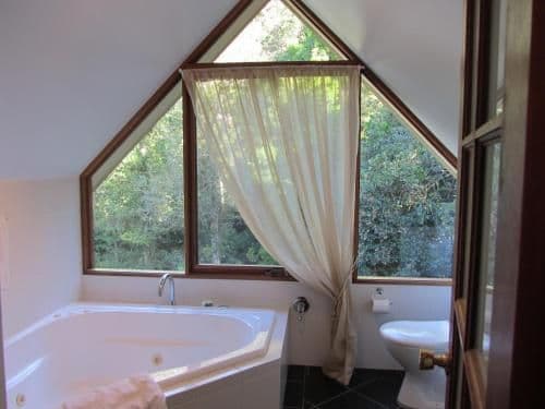 Loft Suite with Rainforest View
