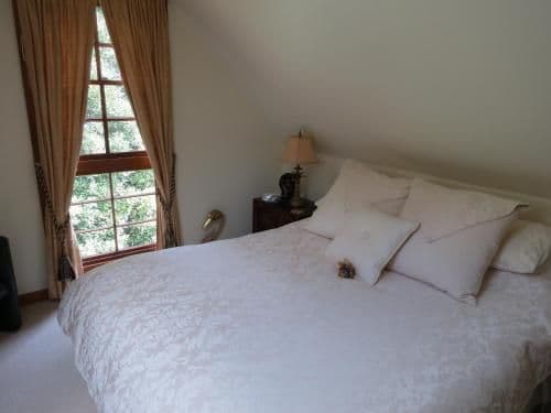 Loft Suite with Rainforest View