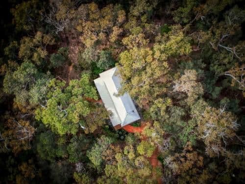 One-Bedroom Chalet with Forest View