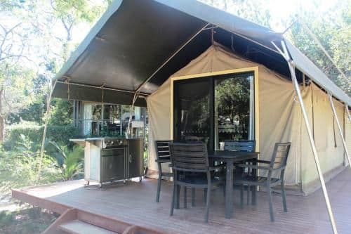 Safari Palm Tent