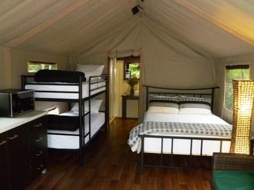 Safari Palm Tent