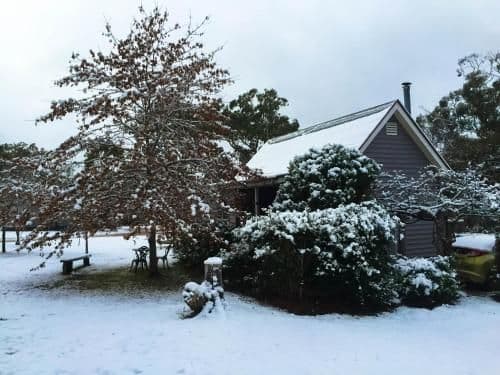 One-Bedroom Cottage