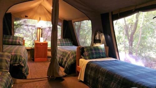 Tent