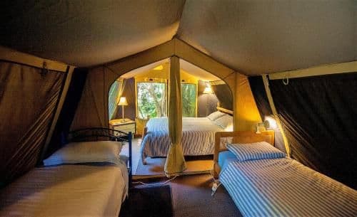 Tent