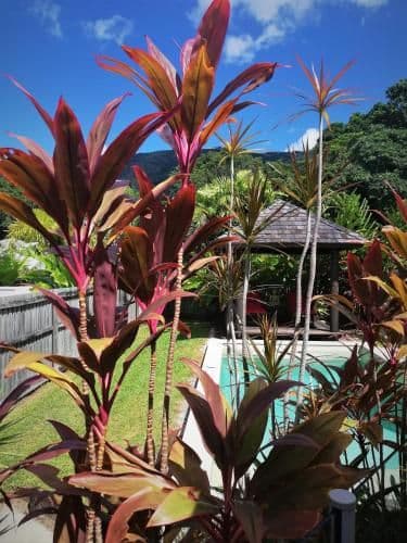 Four-Bedroom Villa with Private Pool