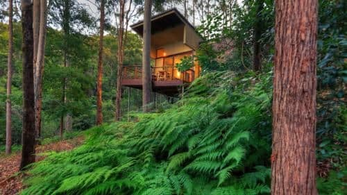 One-Bedroom Cottage