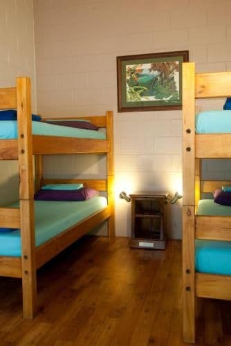 Bunk in Mixed 4-Bed Share Room