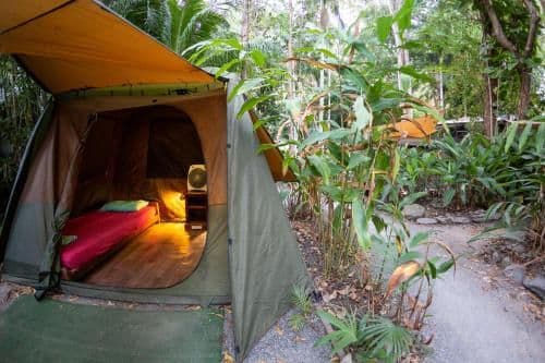 Gold Tent