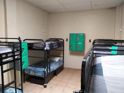 Bed in 4-Bed Mixed Dormitory Room