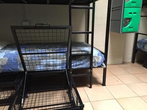 Bed in 4-Bed Mixed Dormitory Room