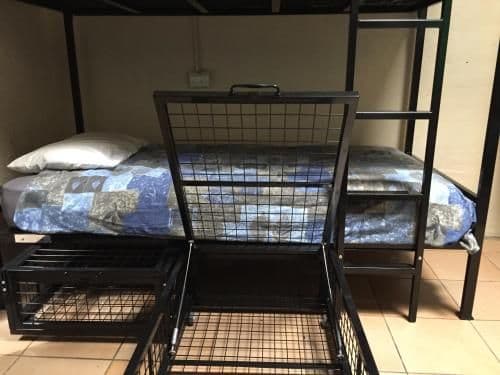Bed in 4-Bed Mixed Dormitory Room