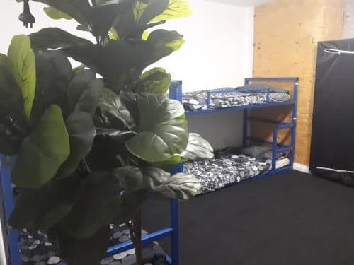 Bed in 6-Bed Mixed Dormitory Room