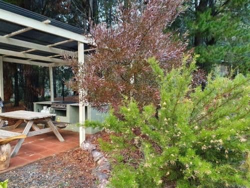 Two-Bedroom Chalet