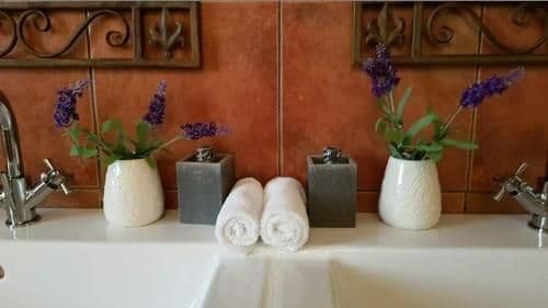 King Suite with Spa Bath