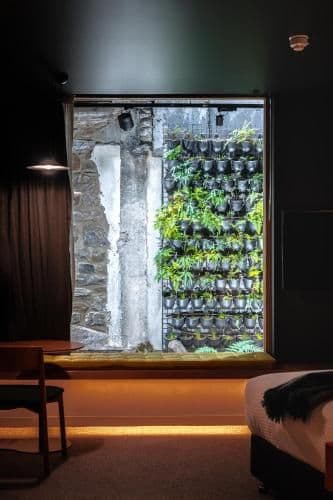 Standard King Pod Room 