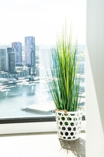 Sky High Three-Bedroom Two Bathroom Apartment with Dual Harbour Views