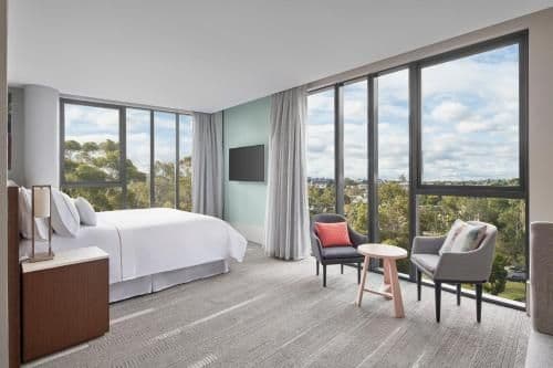 Large King View Room
