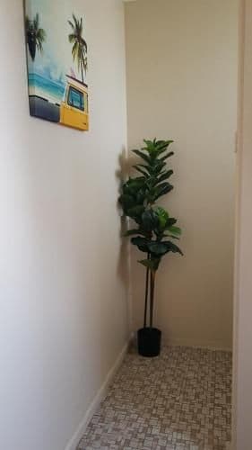 Queen Room with Shared Bathroom